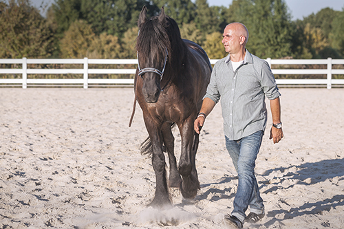 Wir coachen dich - Pferdegestütztes Coaching für Unternehmer