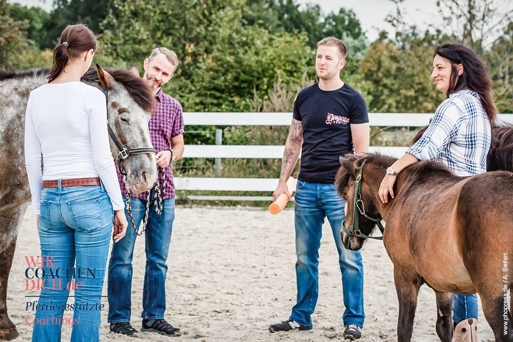 Pferdegestütztes Coaching mit Führungskräften und Horse Assisted Coach Antje Müller
