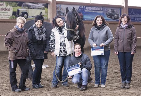 Pferdegestütztes Coaching – Intensivkurs in Radebeul