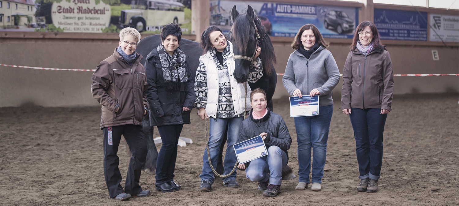 WirCoachenDich.de Pferdegestütztes Coaching mit Pferden Antje Müller Intensivkurs in Radebeul