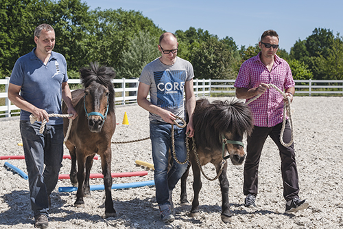 Pferdegestütztes Coaching mit Führungskräften und Horse Assisted Coach Antje Müller